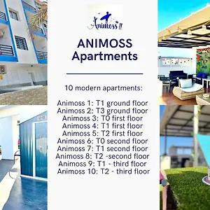 Appartement Animos! - 10 Modern Near The & Beach, Perfect For Nomads, Travellers, Families, Watersports!, Santa Maria